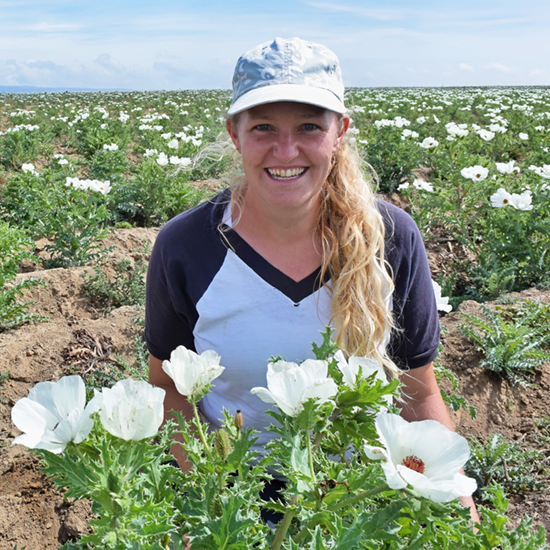 Kasey Barton with prickly poppies in Mexico
