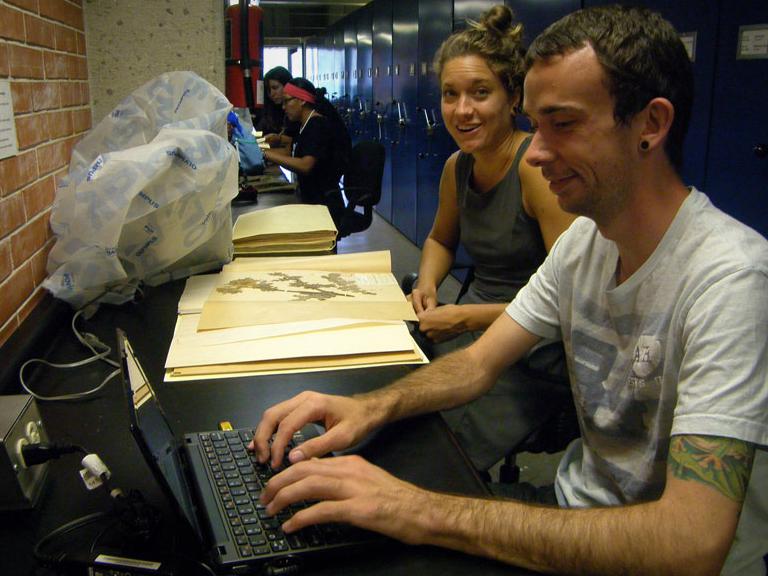 Researchers examining Argemone herbarium specimens at UNAM