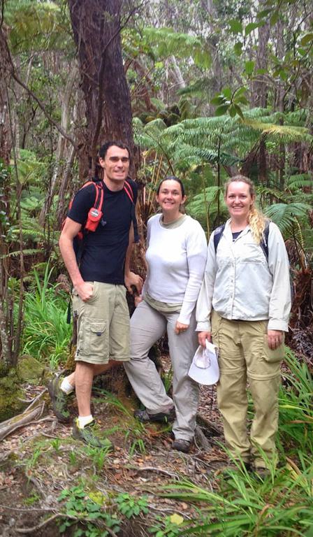 ʻŌhiʻa survey team in a native Hawaiian forest