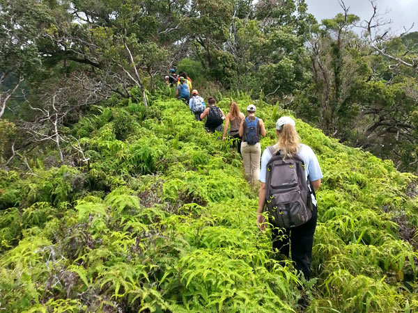 Students and mentors hiking together on an Oʻahu ridge